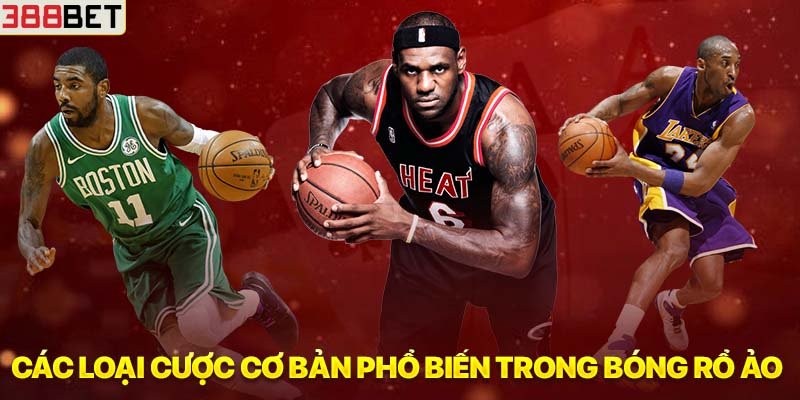 Các loại cược cơ bản phổ biến trong bóng rổ ảo